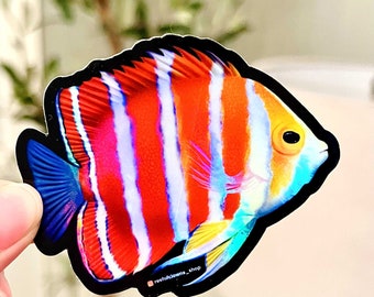 Peppermint Angelfish Sticker (Holographic) | Fish Art Sticker | Aquarium Art | Saltwater Fish, Coral Sticker | Reef Tank
