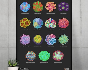 15 Hand-drawn Based Coral Poster (Vertical) | Awesome Reef Aquarium Addition