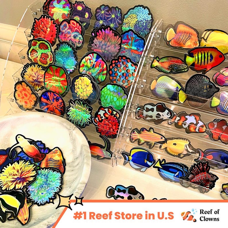 Colony Sticker Hammer Coral Colony Sticker (holographic) | Fish Art Sticker | Aquarium ...