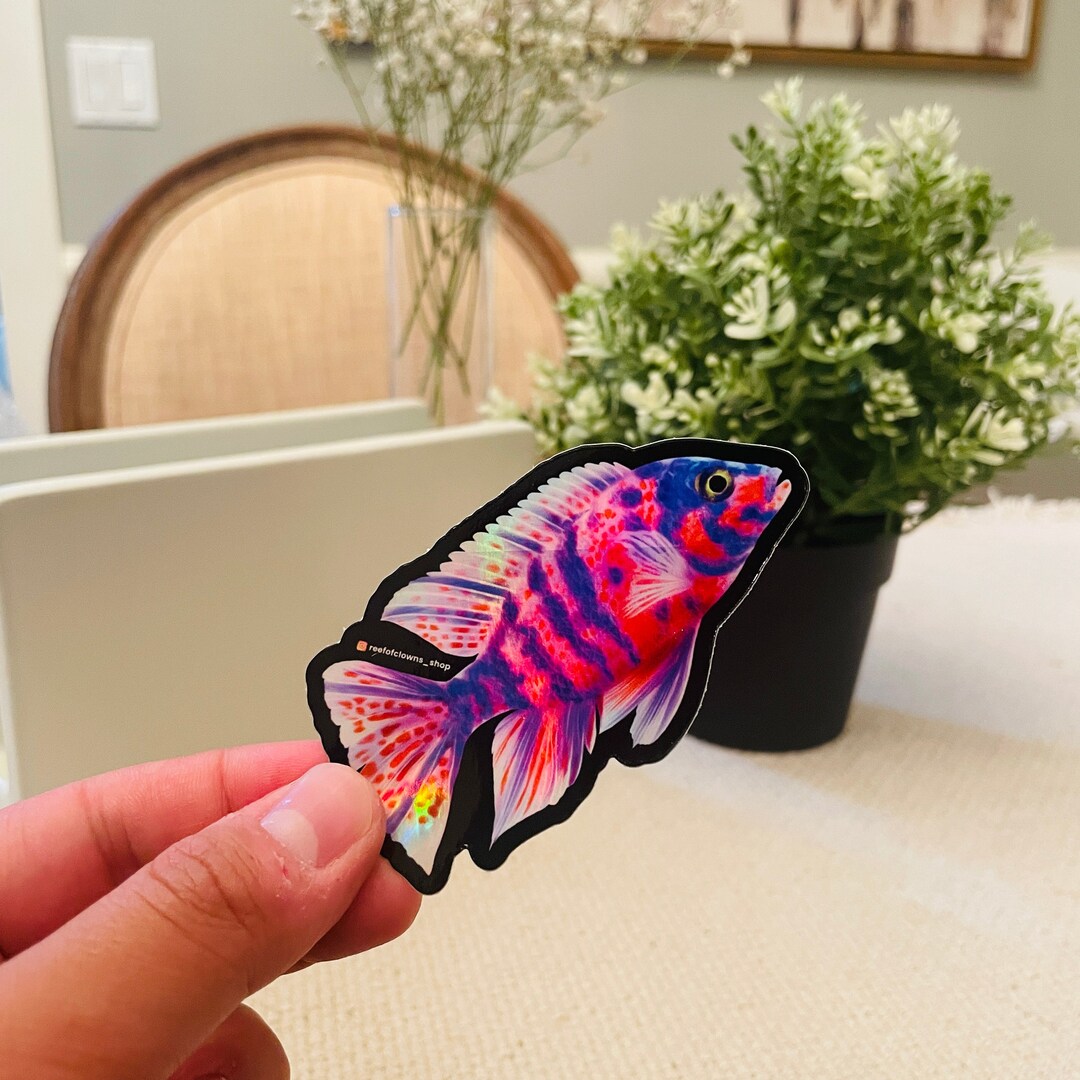 Peacock Cichlid Sticker (holographic) | Fish Art Sticker | Aquarium Art ...
