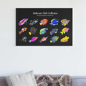 15 Hand-drawn Based Saltwater Fish Poster (Horizontal)