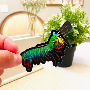 Mantis Shrimp Sticker (Holographic) | Fish Art Sticker | Aquarium Art | Saltwater Fish, Coral Sticker | Reef Tank