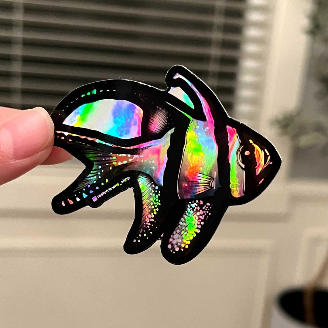 Benggai Cardinalfish (holographic) | Fish Art Sticker | Aquarium Art ...