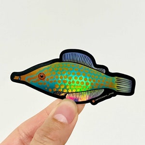 Orange Spotted Filefish a.k.a Harlequin (Holographic) | Fish Art Sticker | Aquarium Art | Saltwater Fish | Coral Sticker