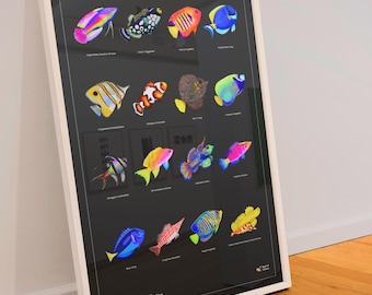 Saltwater Fish Poster Wall Art – 16 Vibrant Hand-Drawn Reef Fish | Framed or Rolled Print | Aquarium Decor, Marine Life Artwork