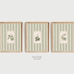 Botanical Wall Art Set: Sage Green Stripe, Cottagecore Gallery Prints (Unframed or Framed)