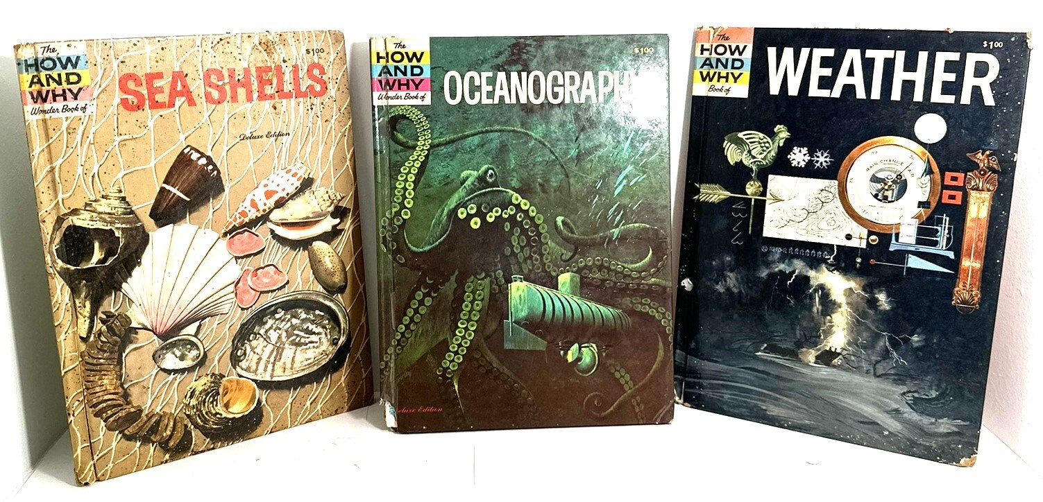 The How and Why Wonder Books Series of Oceanography, Sea Shells, and Weather Vintage 60s
