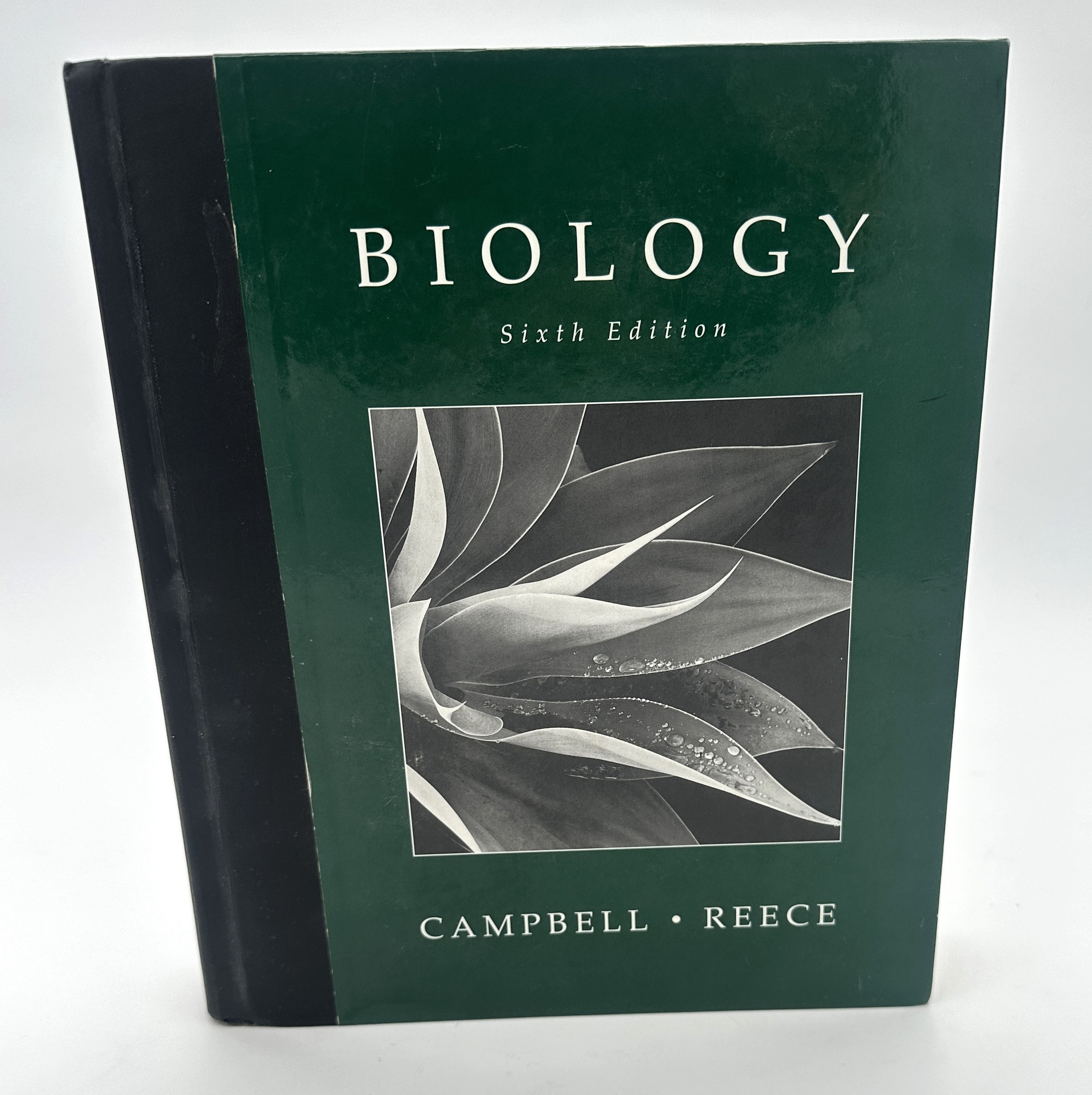 Humangeographie kompakt | Springer Nature Link (formerly SpringerLink), image size:2505x2512