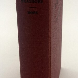 The Bobbsey Twins at the Seashore. Hardcover – 1940 by Laura Lee Hope