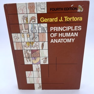Principles of Human Anatomy Fourth Edition By Gerard J. Tortora 1986