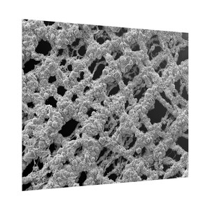 May include: A grayscale image of a complex, interconnected network. The structure appears to be composed of numerous small, rounded particles and filaments, creating a textured, porous appearance. The background is dark, emphasizing the intricate details of the network.
