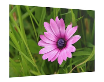 Lavender Flower Macro Photography Poster: Elegant Purple Botanical Wall Art