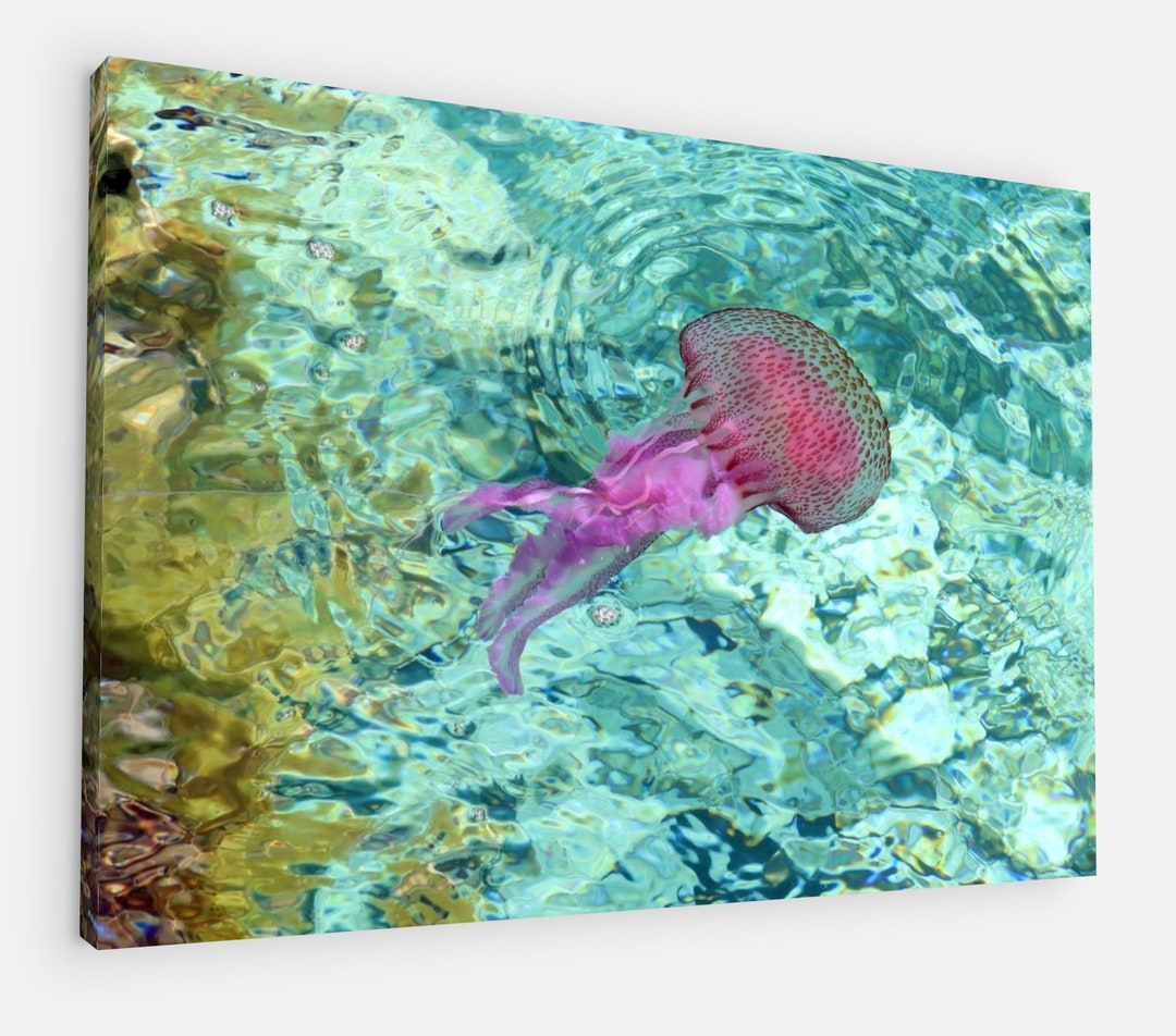 Purple Jellyfish on Spanish Beach Poster/canvas Print for Wall Etsy