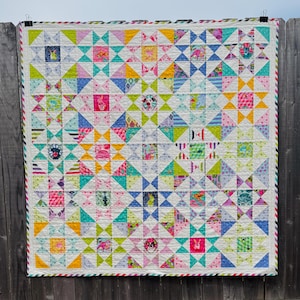 Tula Pink Quilt – Swamp Angel Block – Besties & Tabby Road Fabric – Colorful Pet Quilt with Cats Dogs Rabbits – 62” Handmade Throw