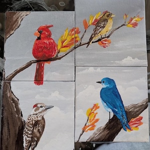 May include: Four small canvas paintings featuring birds on branches with fall foliage. The paintings are in a grid pattern. The top left painting features a red cardinal, the top right painting features a yellow bird, the bottom left painting features a brown woodpecker, and the bottom right painting features a blue bird.