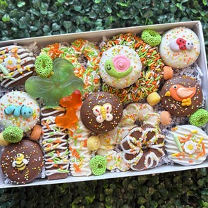 May include: A box of decorated chocolate treats, including cookies with bee, butterfly, and bird designs. The treats are covered in colorful sprinkles and gummy candies. The box is set against a backdrop of green foliage, creating a vibrant display.