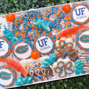 Puede incluir: Una caja blanca llena de golosinas variadas, que incluyen galletas con el logotipo de la Universidad de Florida y la mascota Gator, chispas naranjas y azules y caramelos de goma. Las golosinas están decoradas con los colores de la escuela.