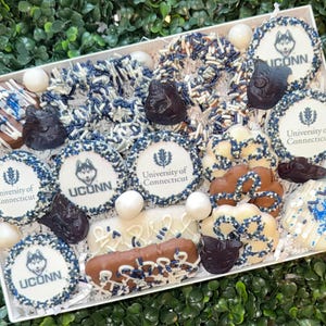 May include: A white box filled with assorted treats, including cookies, pretzels, and chocolate-covered items. The treats are decorated with blue and white sprinkles and feature the University of Connecticut logo and the word "UCONN".