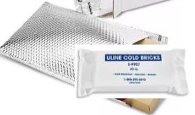 May include: An image shows a white Uline Cold Brick pack with blue text, next to a silver insulated bubble wrap mailer and a cardboard box. The text on the brick reads "ULINE COLD BRICKS" and "50 ml".