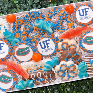 May include: A white box filled with assorted treats, including cookies with the University of Florida logo and Gator mascot, orange and blue sprinkles, and gummy candies. The treats are decorated in the school's colors.
