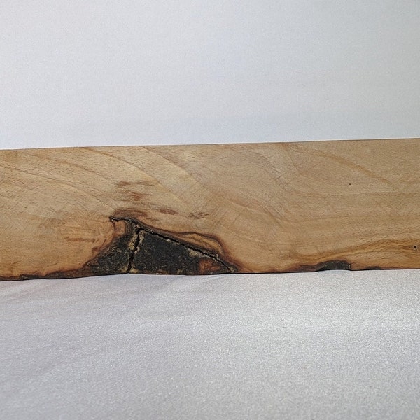 spalted beech for wood turning