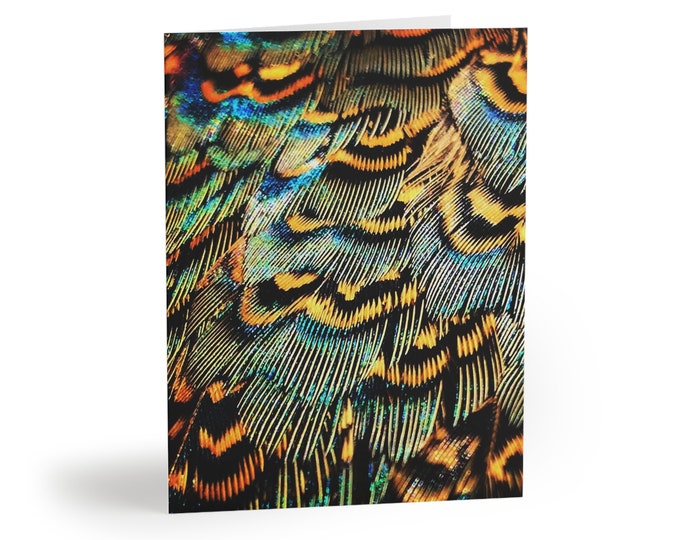 Blue and Gold Pheasant Feather Postcards Set