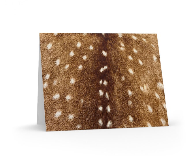 Axis Deer Postcards Set