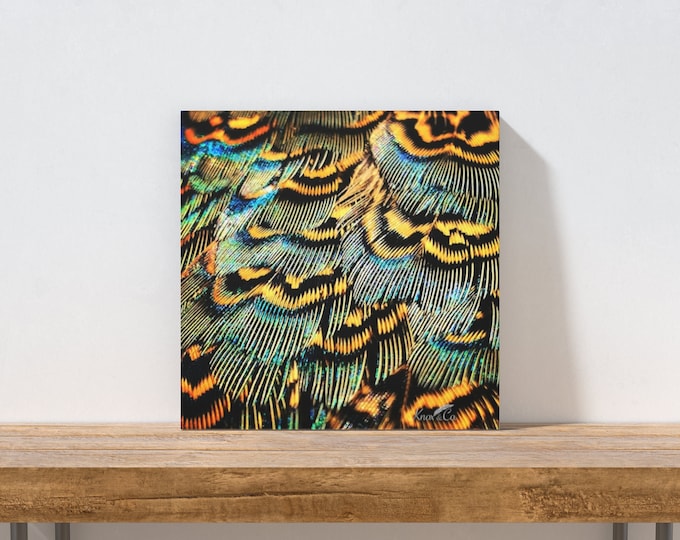 Blue and Gold Pheasant Canvas Print