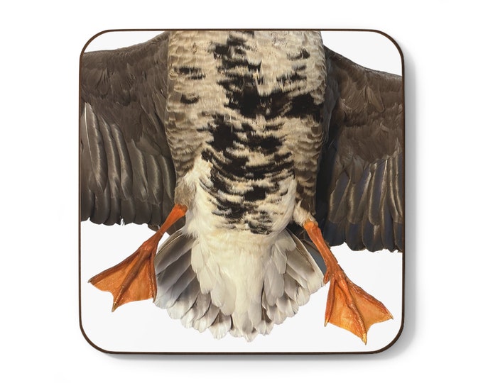 Speckled Belly Goose Hardboard Back Coaster
