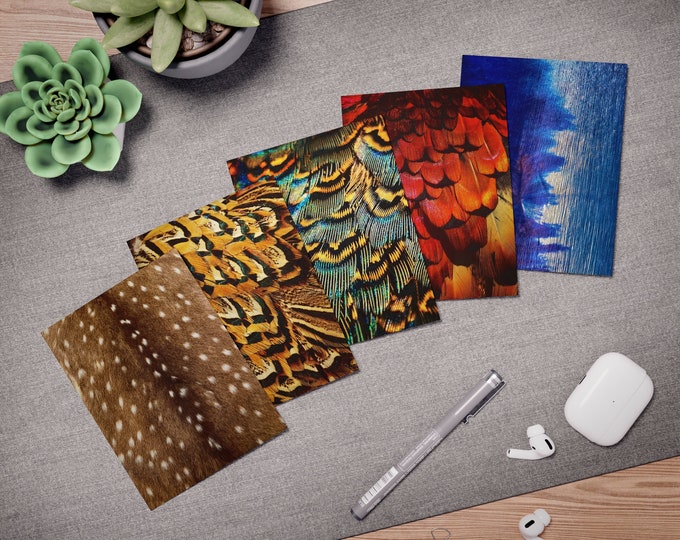 Knox&Co. Multi-Design Greeting Cards (5-Pack)