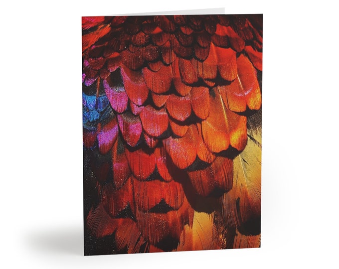 Red Pheasant Feather Postcards Set