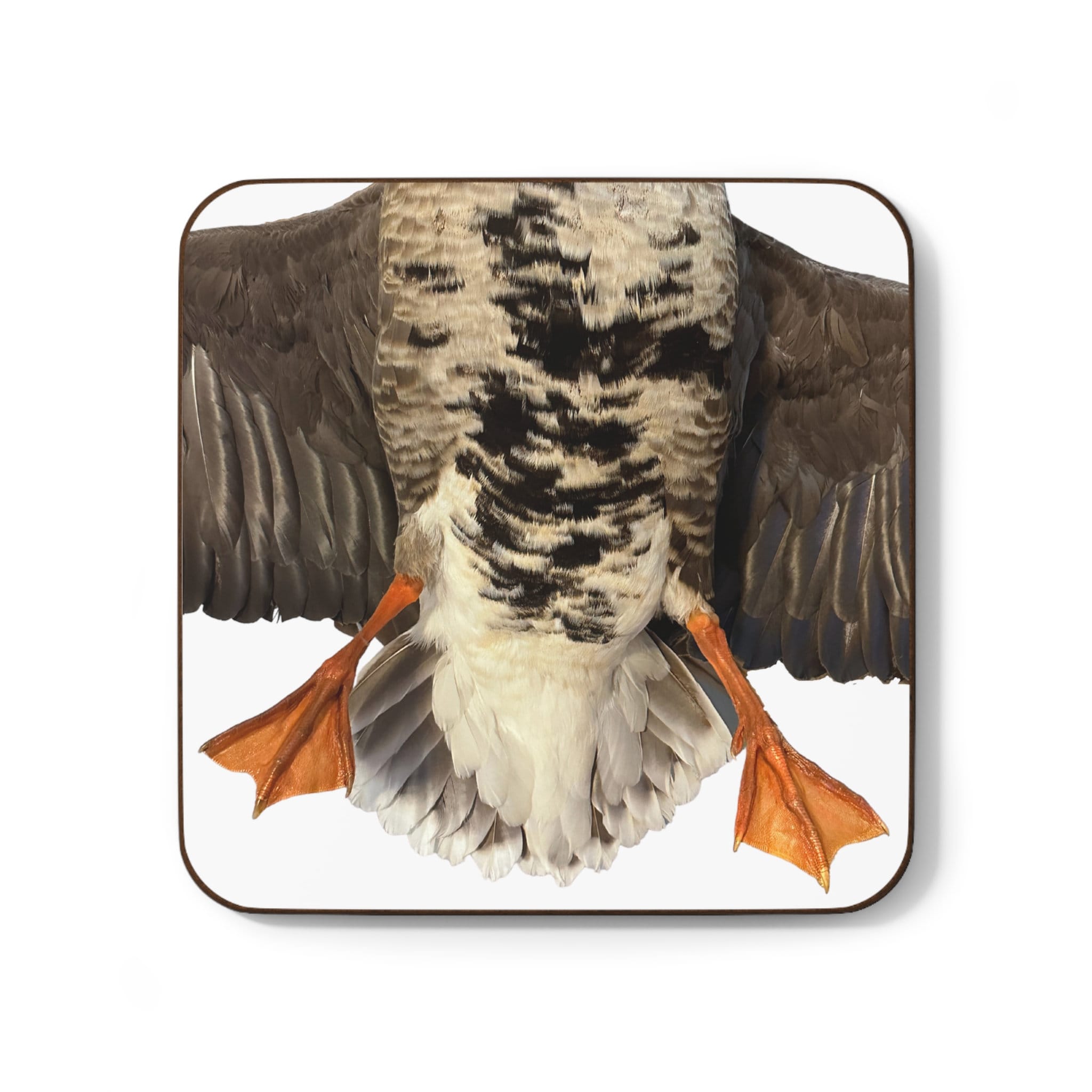 Speckled Belly Goose Hardboard Back Coaster Waterfowl-inspired Drink