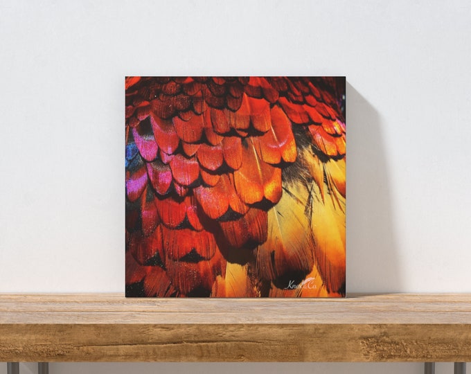 Red and Gold Pheasant Canvas Print