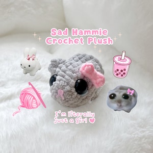 Sad Hamster with Bow Violin Meme Crochet Plush Amigurumi Handmade Gift