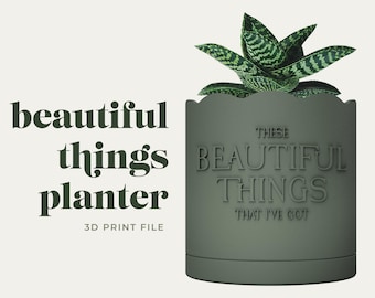 Beautiful Things Planter 3D Print File STL