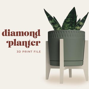 May include: A green diamond planter with a geometric design, holding a snake plant. The planter sits on a white stand. The text "diamond planter" and "3D print file" are displayed in maroon.