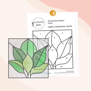May include: A stained glass pattern of a hosta plant with 18 numbered sections. The pattern is for hobby and commercial use. The copyright is 2025.