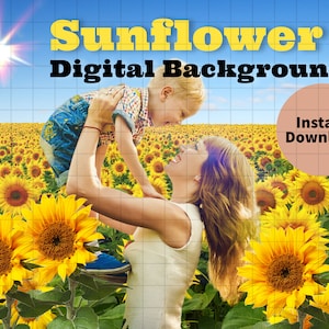 Sunflower Digital Background, Summer Backdrop for Photoshop Composites Image, Instant Download, Photography Photoshoot