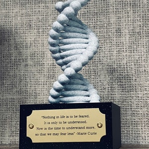 Elegant DNA Model