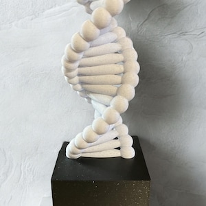 Dna model - Etsy 日本