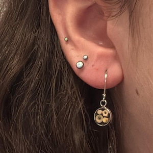 Puede incluir: Primer plano de una oreja con múltiples piercings. La oreja tiene tres pendientes pequeños y redondos. Uno es un pequeño perno verde, y los otros dos son blancos y plateados. Un pendiente de aro plateado con un colgante circular que contiene pequeños objetos beige cuelga de la oreja.