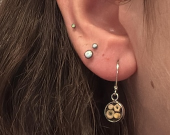 Handmade Tiny Stainless Steel Crinoid Earrings - Echoes Of The Earth