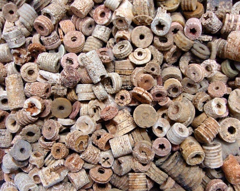 May include: A collection of various beige and brown beads, including cylindrical, disc, and barrel shapes. Some beads have star-shaped or circular holes. The beads have a weathered, textured appearance, suggesting they are made of natural materials.