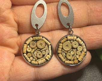 Pendientes artesanales de acero inoxidable con medallón colgante y fósil de crinoideo - Ecos de la Tierra