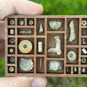 Puede incluir: Un juego de tres cuencos de cerámica anidados en tonos azules, verdes y blancos. Los cuencos presentan un esmalte moteado y un diseño sencillo y moderno. El cuenco más grande tiene aproximadamente 15 cm de diámetro.