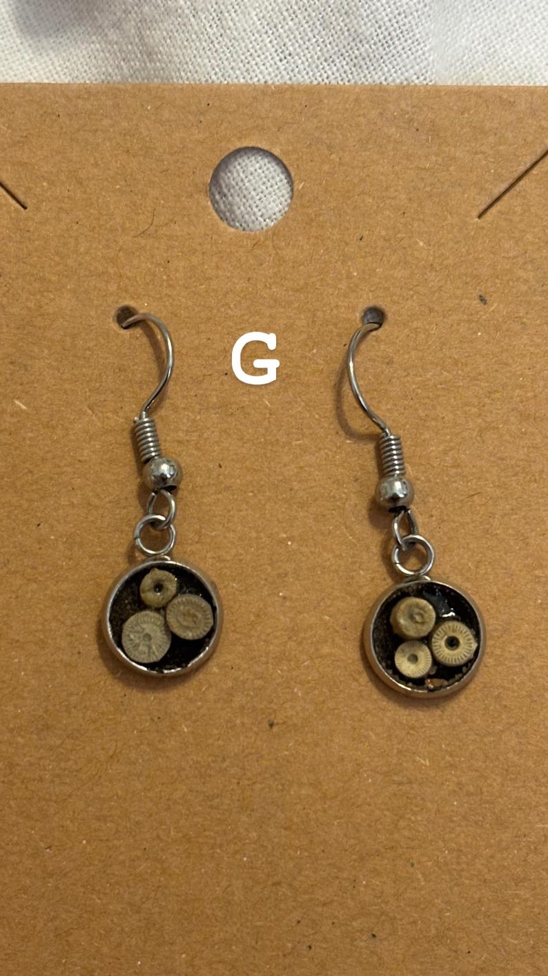 Puede incluir: Un par de pendientes colgantes con ganchos plateados y colgantes circulares. Cada colgante presenta peque&ntilde;os objetos circulares de color claro sobre un fondo oscuro. Los pendientes se exhiben en una tarjeta marr&oacute;n.