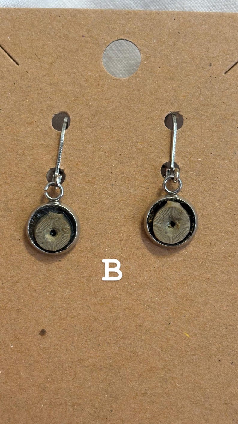 Puede incluir: Un par de pendientes colgantes plateados. Cada pendiente presenta un colgante circular con forma de f&oacute;sil, encerrado en un bisel plateado. Los pendientes se muestran en una tarjeta marr&oacute;n con la letra "B" impresa.