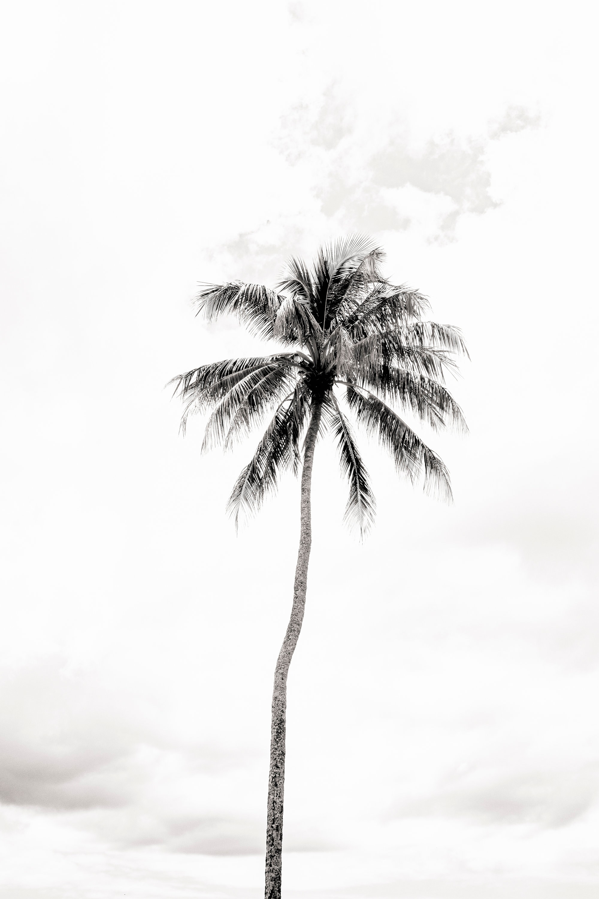 North Shore Oahu Hawaii Black and White Beach Printable Wall Art ...