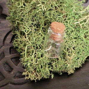 Presa de Cascavel em Frasco Pequeno - Dente Venenoso Minúsculo em Frasco de Vidro Minúsculo - Suprimentos de Bruxaria - Coisas de Bruxaria