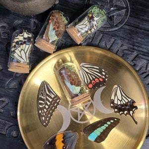 May include: Five glass vials with cork stoppers containing preserved butterfly wings. The vials are arranged on a gold tray with a pentagram and three crescent moons design. The tray is on a black surface with a Ouija board pattern.